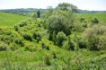 /album/prieskum-pravdepodobnej-environmentalnej-zataze-horne-nastice-odkalisko/udolie-pod-odkaliskom-jpg/